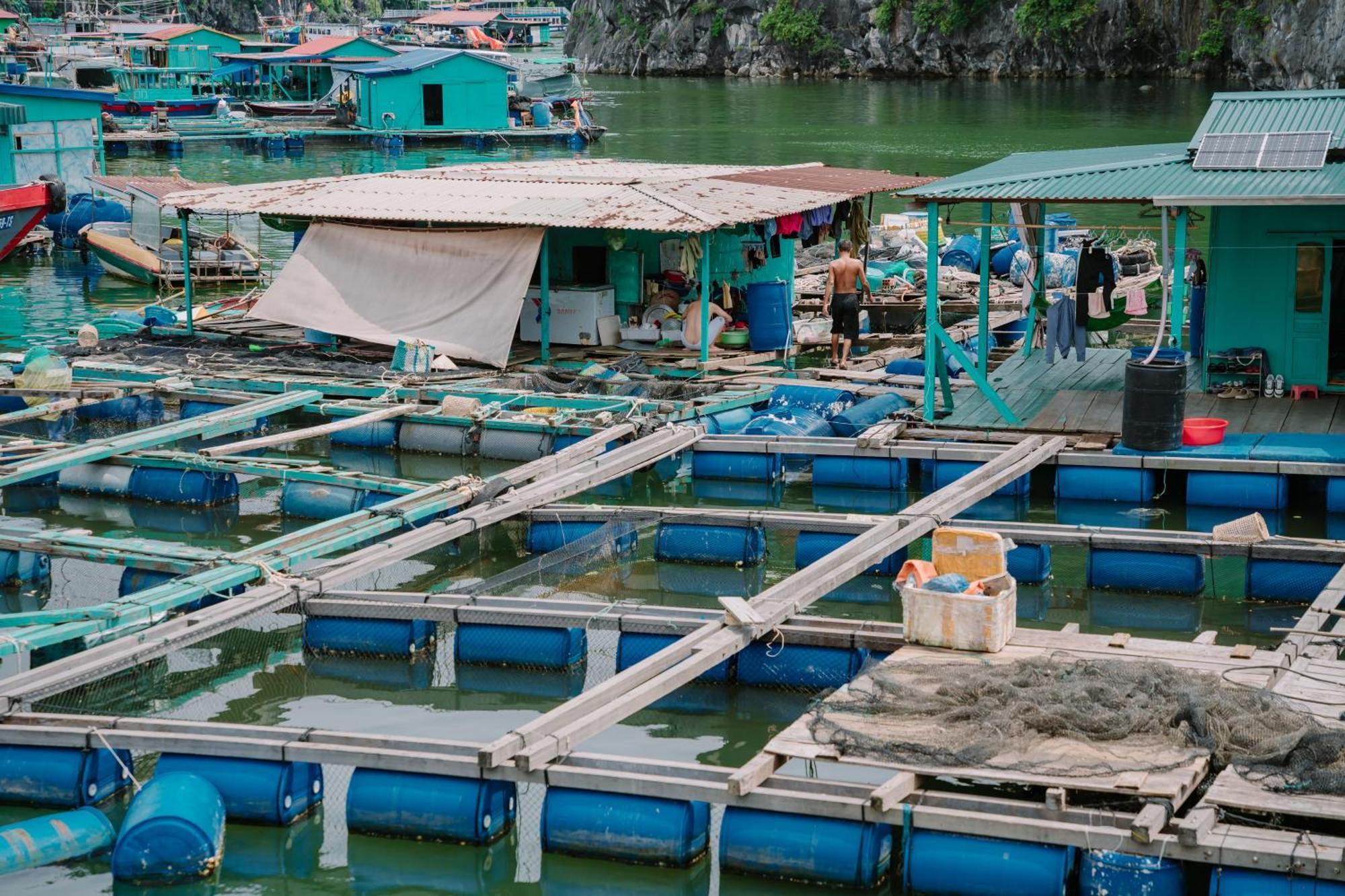 Venezia Boutique Cruises - Catba Island Hotel Chan Chau ภายนอก รูปภาพ